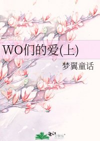 《WO们的爱(上)》