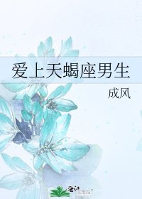 《爱上天蝎座男生》