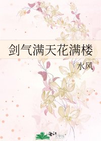 剑气满天花满楼