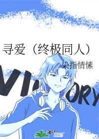 寻爱（终极同人）