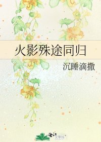 《火影殊途同归》