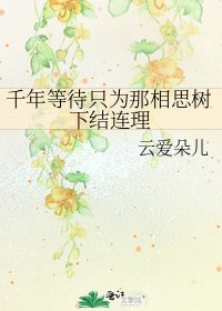 《千年等待只为那相思树下结连理》