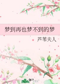《梦到再也梦不到的梦》