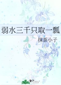 《弱水三千只取一瓢》
