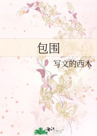 《包围》