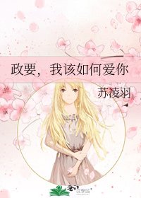 《政要,我该如何爱你》