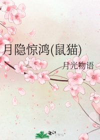 《月隐惊鸿(鼠猫)》