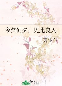 《今夕何夕,见此良人》