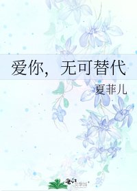 《爱你,无可替代》