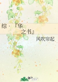 《综•『华之书』》