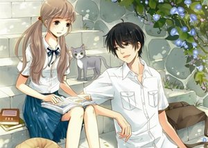《木笔花开》