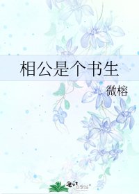 《相公是个书生》