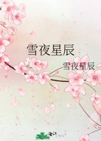 《雪夜星辰》