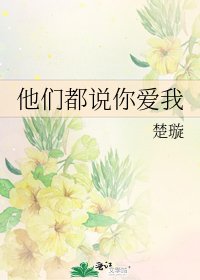 《他们都说你爱我》