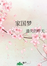 《家国梦》
