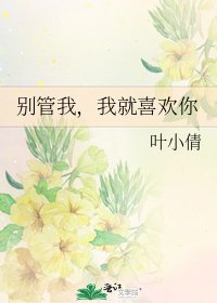 《别管我,我就喜欢你》