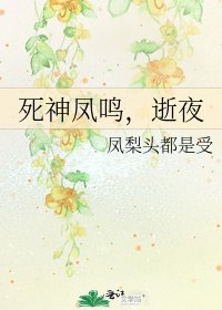 《死神凤鸣,逝夜》