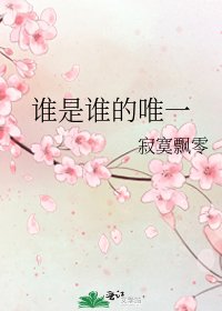《谁是谁的唯一》