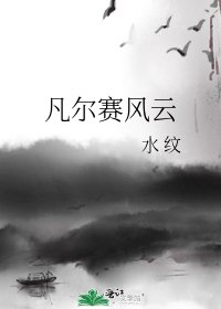 《凡尔赛风云》