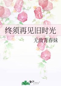 《终须再见旧时光》