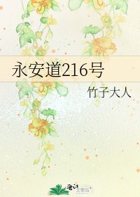 《永安道216号》