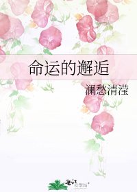 《命运的邂逅》