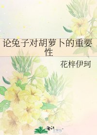 《论兔子对胡萝卜的重要性》