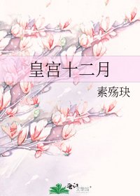 《皇宫十二月》