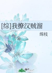 [综]我撩汉贼溜