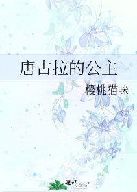 《唐古拉的公主》