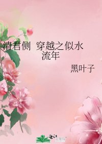 《清君侧 穿越之似水流年》