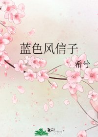 蓝色风信子