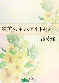 《绝美公主vs圣羽四少》