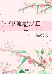 [HP]伏地魔与大□□