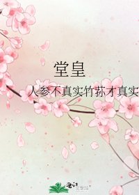 《堂皇》
