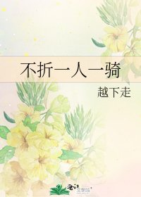 《不折一人一骑》