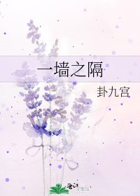 《一墙之隔》