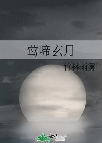 《莺啼玄月》