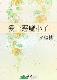 《爱上恶魔小子》