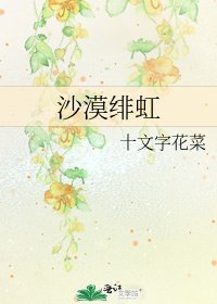 《沙漠绯虹》