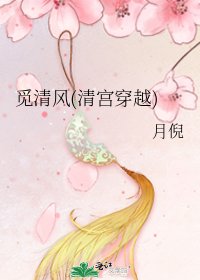 《觅清风(清宫穿越)》