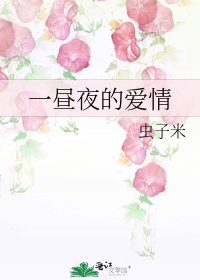 一昼夜的爱情