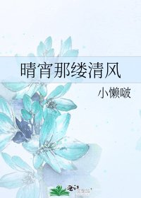 《晴宵那缕清风》
