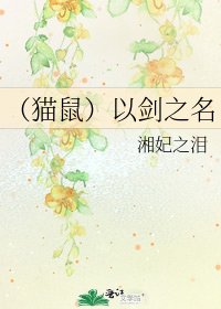《(猫鼠)以剑之名》