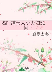 《名门绅士大少夫妇51问》
