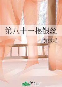 《第八十一根银丝》