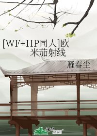 [WF+HP同人]欧米茄射线