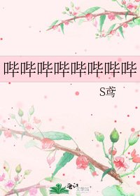 《哔哔哔哔哔哔哔哔》