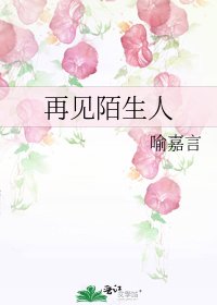 《再见陌生人》