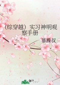 《(综穿越)实习神明观察手册》